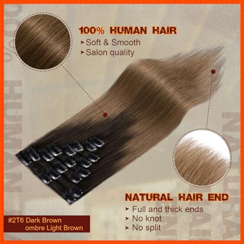 Image of Benehair Human Hair Clip in Extensions Ombre Dark Brown to Light Brown Hair Extensions for Women Long Straight Remy Natural Full Head 8pcs 10inch No Tape No Glue Clip ins #2T6