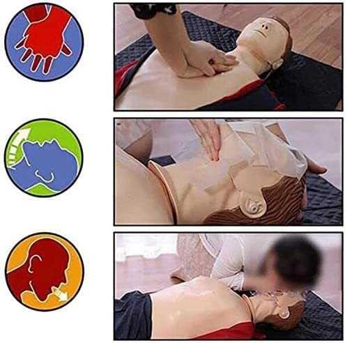 Modello didattico, Manichino per RCP per Adulti a