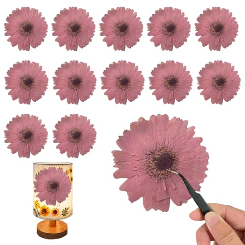 Flores secas prensadas grandes color rosa para manualidades miniatura 1