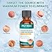 PUVIDA Liquid Wart & Corn Remover with 17% Salicylic Acid – Fast-Acting Treatment for Common & Plantar Warts on Hands and Feet – Easy Apply Topical Solution, 30 mL