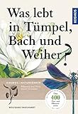  Was lebt in Tümpel, Bach und Weiher?: Pflanzen und Tiere unserer Gewässer