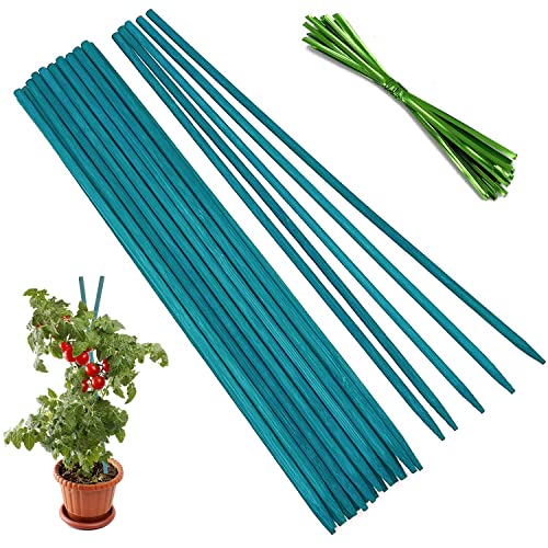 Image of BLOOMAX 4ft Teal Green Hardwood Plant Support Sticks | Pack of 20 (14mm Dia) | Sturdy Garden Stakes for Climbing Plants & DIY Crafts | Includes Free Twist Ties | Weather-Resistant Support