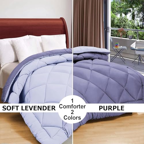 Image of Dream Living Microfibre All Season /AC /Summer Solid Reversible Single Bed Comforter Blanket (Lavender-Purple-Single, Single-152X220)