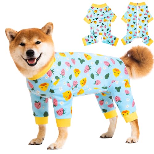 Image of Dog Recovery Suit for Small Medium Large Dogs, Pet Onesie After Surgery Comfort Dog Bodysuit Anti Licking (Blue,XL)