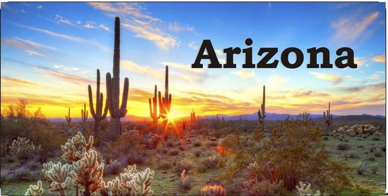 Arizona Desert Sunset #2 Photo License Plate