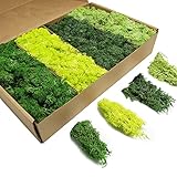 TurelinnG Preserved Moss 4 Color Reindeer Craft Moss, Total 14 OZ Each Color 3.5 OZ, Fake Moss Suitable for Flowerbeds, Crafts, Home Office Artistic Decoration (4 Colors)