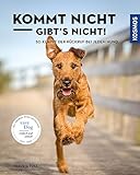 kommt nicht gibts nicht  Kommt nicht, gibts nicht: So klappt der Rückruf bei jedem Hund