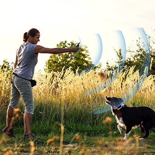 Bowinr Dog Training Collar With 2600Ft Remote, Electronic Dog Collar With Beep, Vibration, Strong Vibration, Light And Keypad Lock Mode, Waterproof Electric Dog Collar Set For Small Medium Large Dogs #TOP5