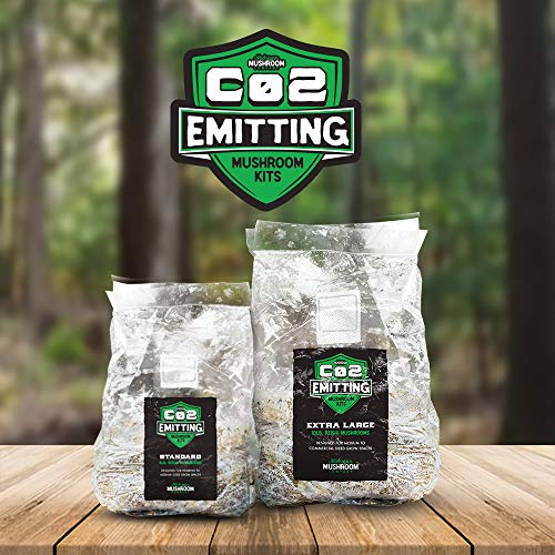 CO2 Emitting Reishi Mushroom Kits - Carbon Dioxide Booster (Standard)
