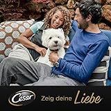 Cesar Hundefutter Nassfutter Klassiker mit zartem Huhn und Truthahn, 7 er Pack (7 x 2 Schalen x 150 g)