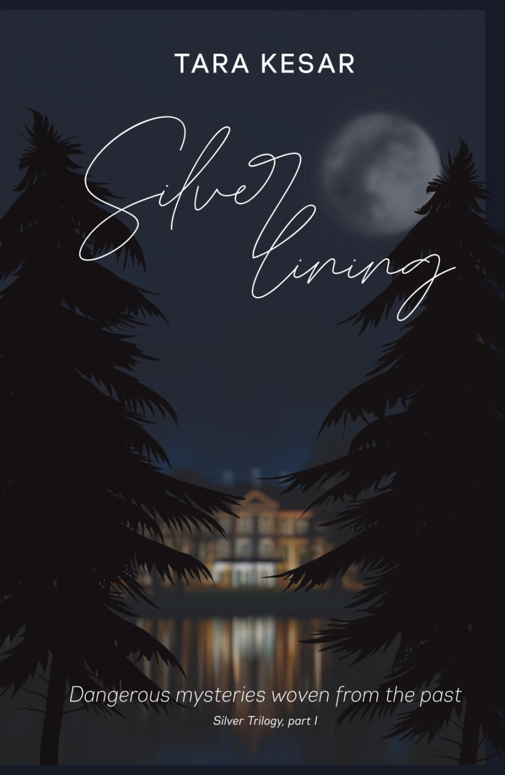 Silver Lining: Dangerous mysteries woven from the past (The Silver Trilogy)