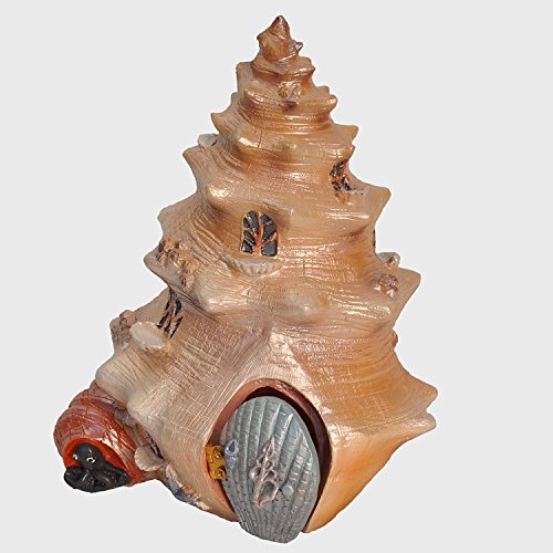 Fairy Garden Miniature - Sea Shell Shanty