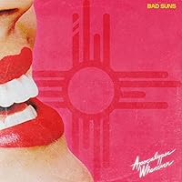 Bad Suns Ablum Cover