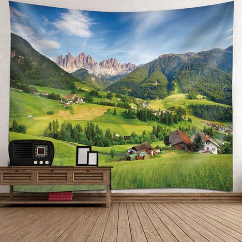 Tapisserie murale pour cacher un mur abime decoration paysage montagne prairie 200x200cm