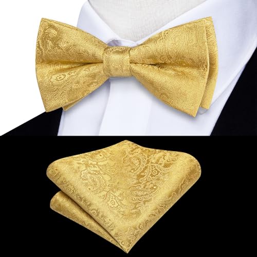 Hi-Tie Bow Ties for Boys Pre-Tied Silk Kids Bow Tie Adjustable Boys Bowties with Pocket Square Set for Wedding Party2