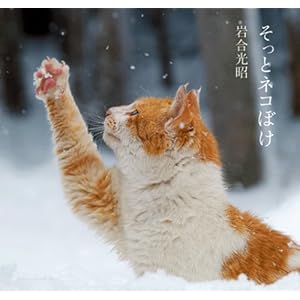 そっとネコぼけ