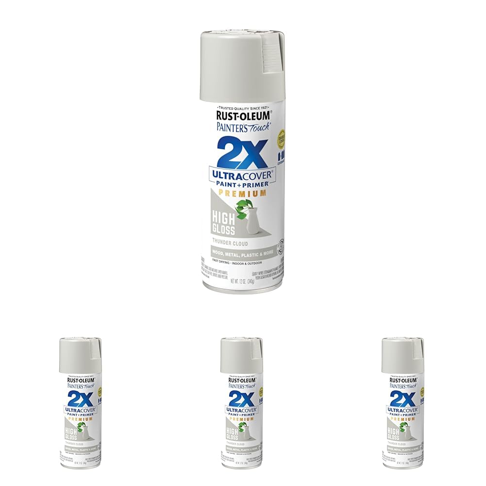 Rust-Oleum 355060 Painter's Touch 2X Ultra Cover Spray Paint, 12 oz, High Gloss Thunder Cloud (Pack of 4)