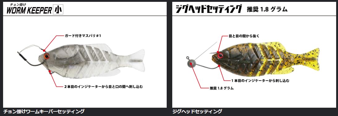 Amazon.co.jp: イッセイ(Issei) ギルフラット Jr. #10 グリパン