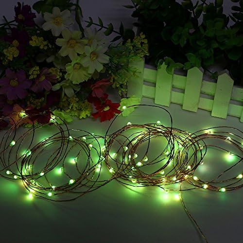 ErChen USB Dual-Color Led String Lights, 33FT 100 LEDs Color Changing Dimmable 8 Modes Copper Wire Fairy Lights with Remote Timer for Indoor Outdoor Christmas (Warm White, Green)