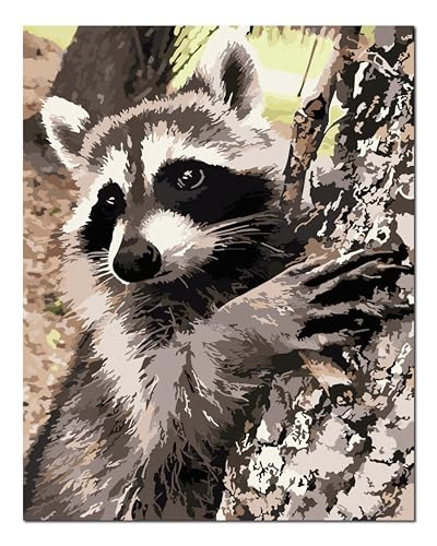 Kit peinture par numéro adultes 16x20 pouces Shukqueen avec cadre