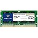 Timetec Hynix IC Apple 8GB DDR3 PC3-8500 1066MHz Memory Upgrade for MacBook 13-inch Mid 2010, MacBook Pro 13-inch Mid 2010, iMac 27-inch Late 2009, Mac Mini Mid 2010/Server (8GB)