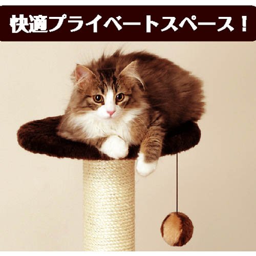 キャティーマン (CattyMan) キャティースクラッチリビング キャティーマン モダンルームスクラッチ タワーシングル ドギーマン