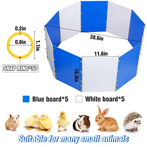 Chicken Brooder Start Kit - Safe Reusable Chicken Brooder Box With Dense Holes On Hollow Corrugated Boards And Small Snap Rings For Chicks Ducklings (Blue & White) #TOP5