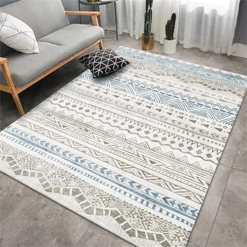 SUNYRDSM Alfombra Entrada Casa Interior Jarapas para Sofas Adecuado para Salas de Estar y dormitorios Modernos, hipoalergénico, Suave y Duradero. 170X240CM
