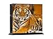 Produktbild Gaminger Playstation 4 Designfolie Sticker Skin Set für Konsole + 2 Controller  Tiger