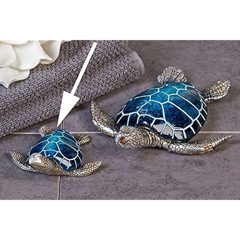 Tortue Josie Casablanca 59973 Cover