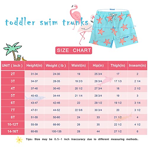 Boys Swim Trunks With Boxer Brief Liner Quick Dry Toddler Swim Shorts Upf 50+ Boy Bathing Suit With Compression Liner Blue Shark 7 Years #TOP5