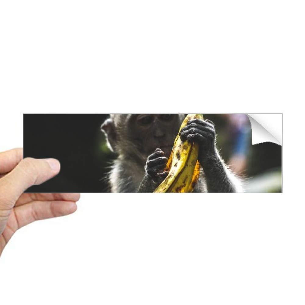 Autocollant singe rectangulaire DIYthinker pour pare-chocs et fenêtres de voiture