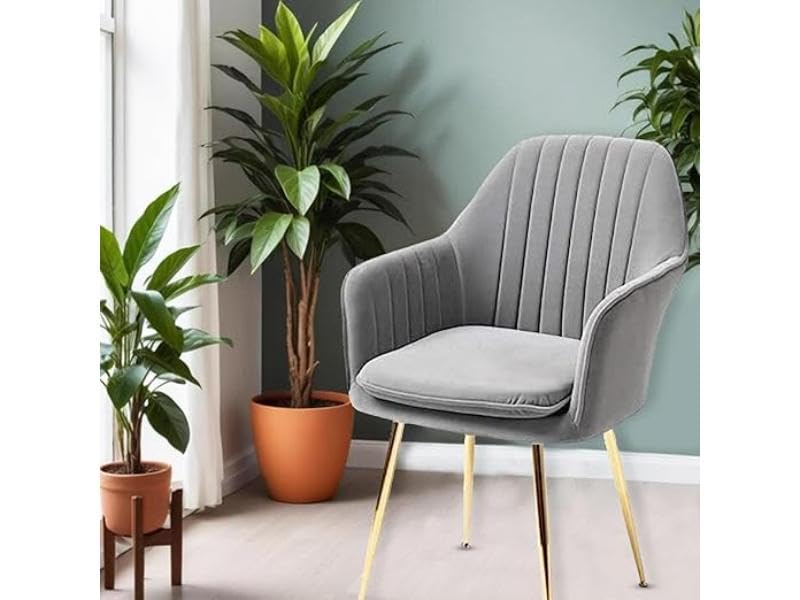 Image of Accent Chairs for Living Room | Modern Armchair in Velvet Fabric with Golden Legs | Set of 1 Chair for Home, Office, Restaurent, Cafe (Dark Grey)
