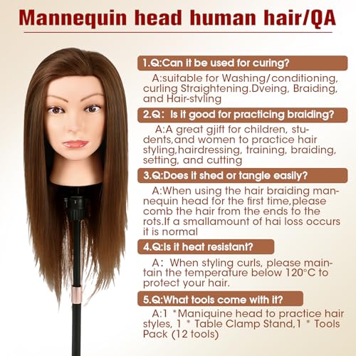 100% Mannequin Head Human Hair,22\" Dark Brown Real Hair Cosmetology Mannequin Manikin Head Hair Styling Hairdressing Practice Training Doll Head with Clamp Holder and Tools - Thumbnail 7