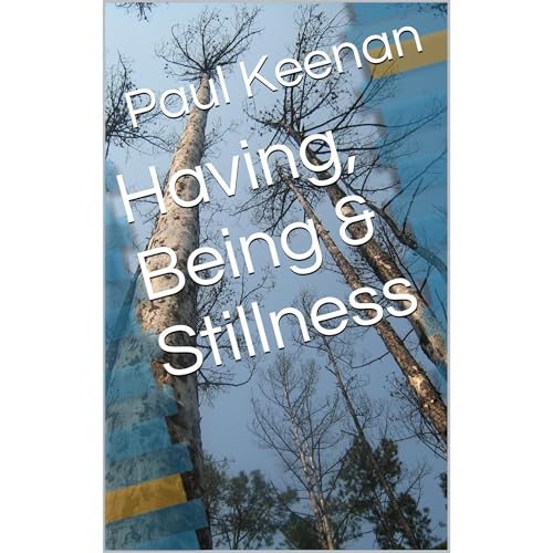 Having, Being &amp;amp; Stillness by Paul Keenan episode artwork