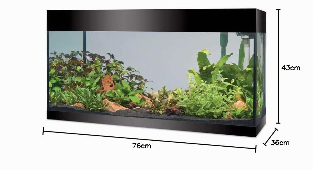 Askoll Aa350053 Aquarium Pure LED, XL, Noir