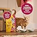 Meow Mix Gravy Bursts Dry Cat Food, Chicken, 3 LB Bag