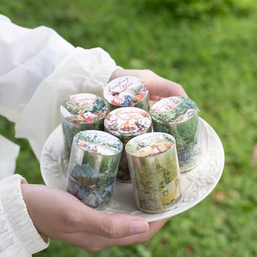 Cintas de camping Alideco luyingjihua con diseños PET transparentes e impermeables para artes