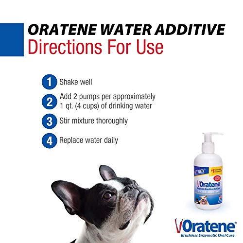 Pet King Brands ZYMOX Oratene Enzymatic Brushless Oral Care Water Additive, 8oz - Thumbnail 5