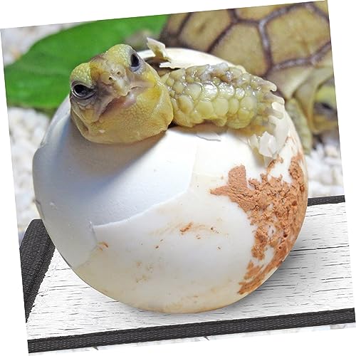 Alfombrilla Térmica para Reptiles WOONEKY 9pcs miniatura 5