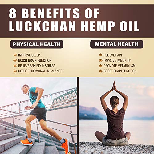 LUCKCHAN (4-Pack) Premium Hemp Oil - Helps Anxiety, Stress, Relaxation, Calming, Sleep - Natural Extract, Vegan, Non-GMO - Organic Hemp Tincture Drops - Image 5