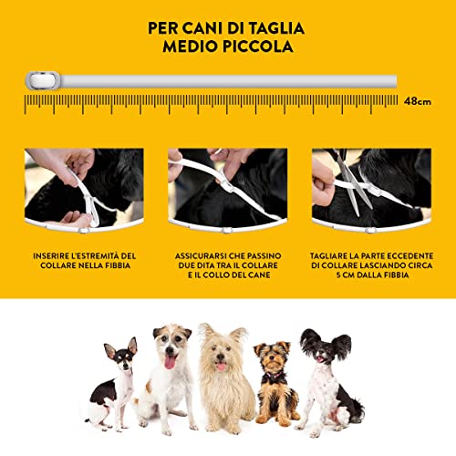 Collier Scalibor 48 cm antiparasitaire pour chien