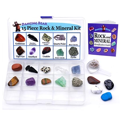 Dancing Bear -15 Pc Rock & Mineral Collection with Collector Box/Display Case, ID Sheet, Rock Book, Magnifying Glass, Beginner Starter Set, Kids' Gemstone Crystal Kit, STEM Geology Science Education