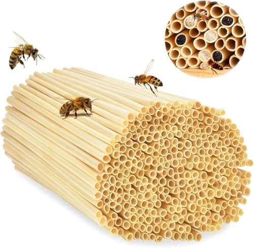 FENGCHUANG 500 Stück Wildbienen Nisthülsen 14.5 cm Umweltfreundliche Bambus-Röhren Füllmaterial für Insektenhotel Solitärinsekten Naturschutz Garten Pour Hôtel à Insectes