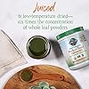 Garden-of-Life-Raw-Organic-Perfect-Food-Energizer-Juiced-Green-Superfood-Powder-Yerba-Mate-Pomegranate-Probiotics-Gluten-Free-Whole-Food-Greens-Supplements-30-Servings-973-Oz Garden of Life Raw Organic Perfect Food Energizer Juiced Green Superfood Powder - Yerba Mate Pomegranate, 30 Servings, Green Superfood Powder & Probiotics, Gluten Free Whole Food Greens Supplements