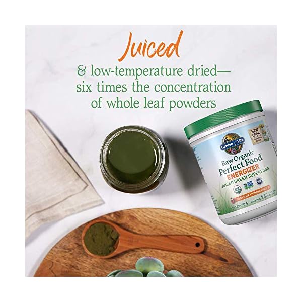 Garden-of-Life-Raw-Organic-Perfect-Food-Energizer-Juiced-Green-Superfood-Powder-Yerba-Mate-Pomegranate-Probiotics-Gluten-Free-Whole-Food-Greens-Supplements-30-Servings-973-Oz Garden of Life Raw Organic Perfect Food Energizer Juiced Green Superfood Powder - Yerba Mate Pomegranate, 30 Servings, Green Superfood Powder & Probiotics, Gluten Free Whole Food Greens Supplements