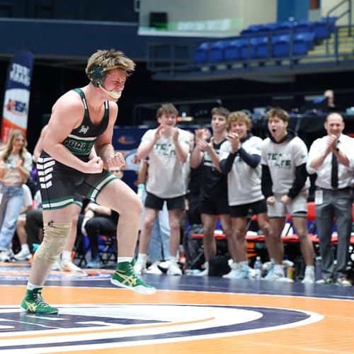 Coal City completes perfect dual team season with state championship repeat