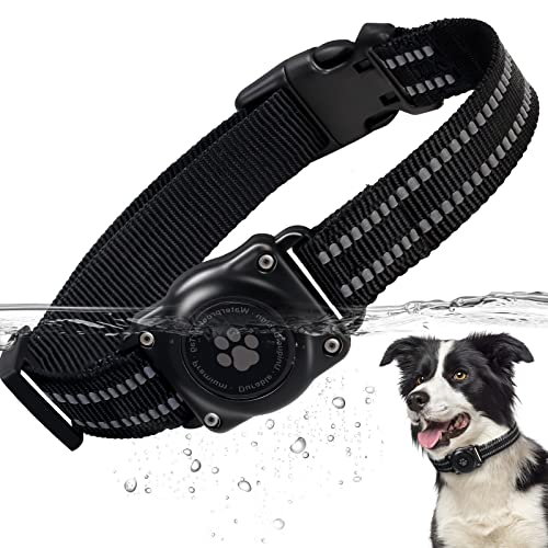 Best Dog Collar Epic Guide