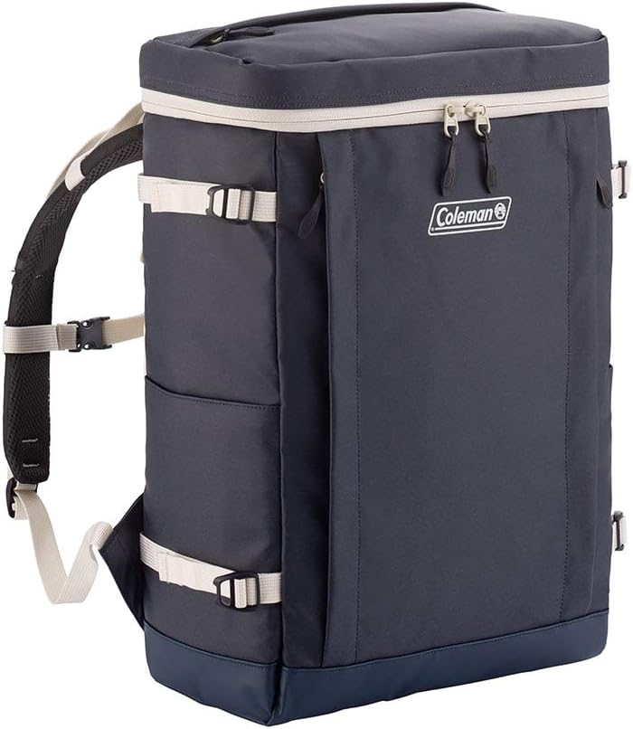 廃盤美品】 ✨NIKE SB スポーツウェア RPM バッグパック（中古品