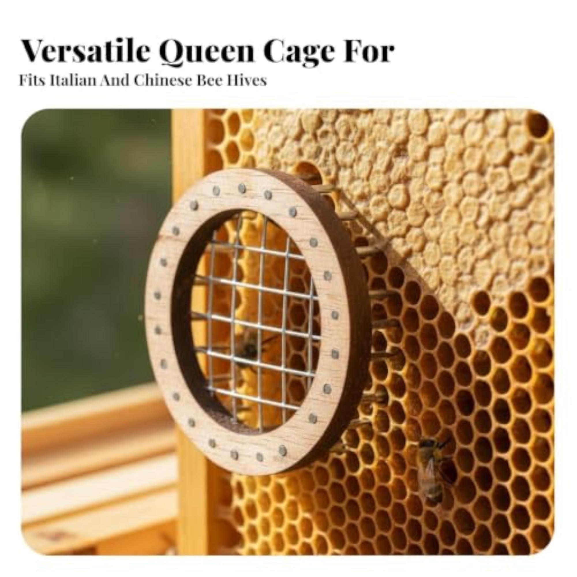 Queen Cage Multi-Functional Pin, Unique Gift